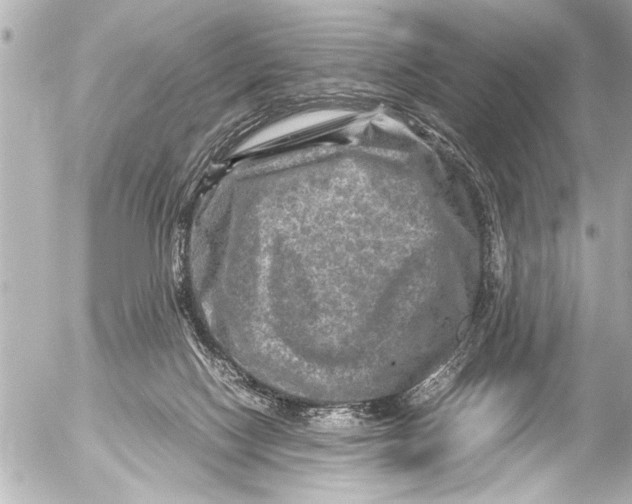 X0000054470074200508270140