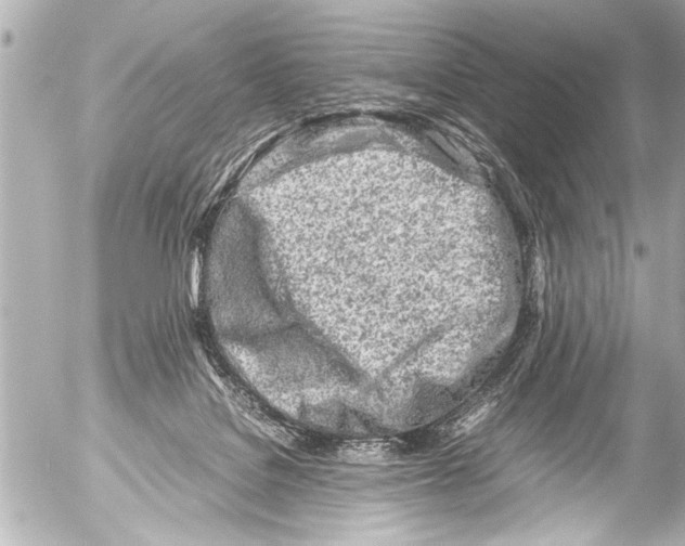 X0000054470076200508270140