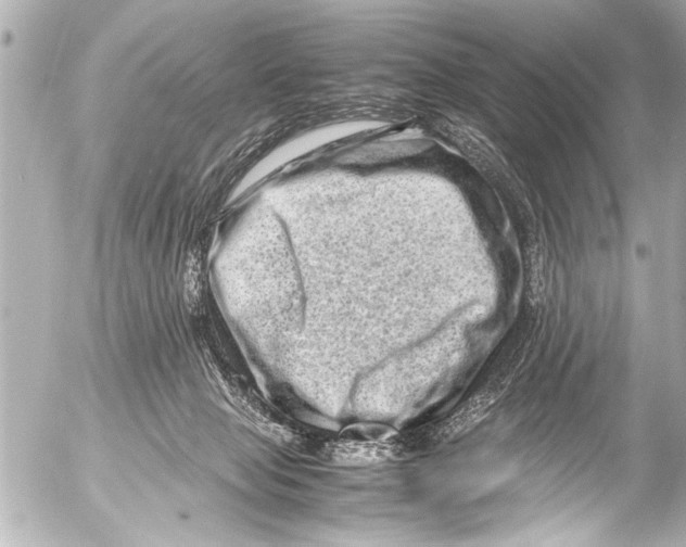 X0000054470077200508270140