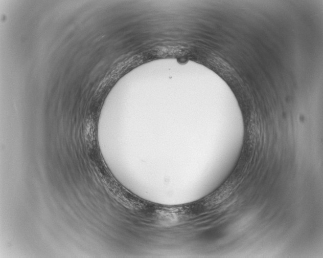 X0000054470079200508270140