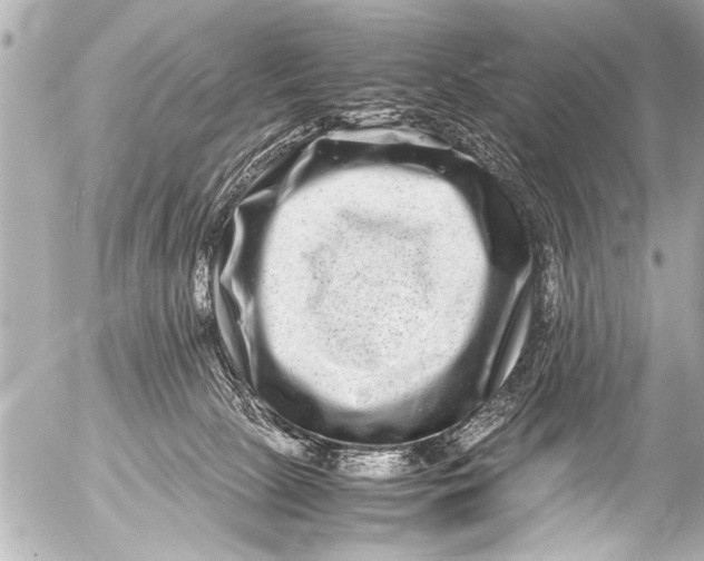 X0000054470081200508270140