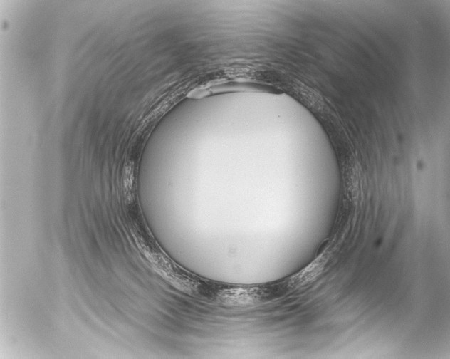 X0000054470082200508270140