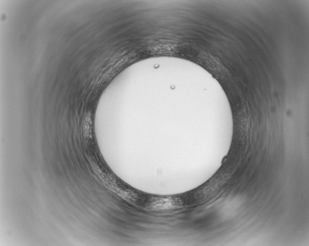 X0000054470083200508270140