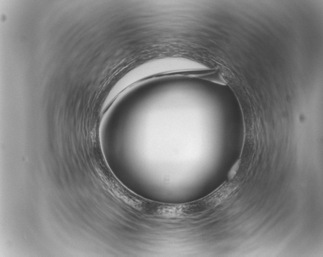 X0000054470084200508270140