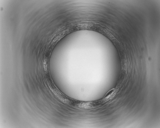 X0000054470086200508270140