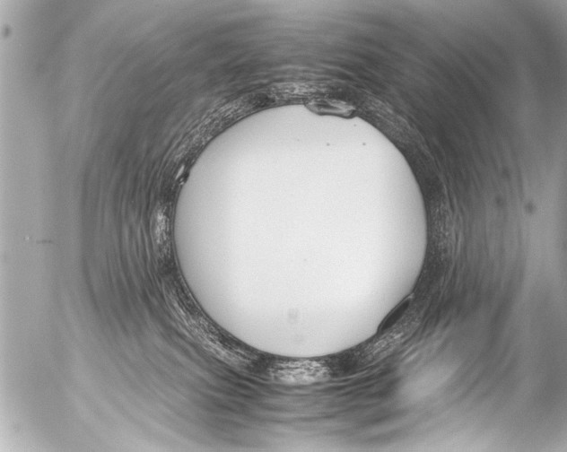 X0000054470087200508270140