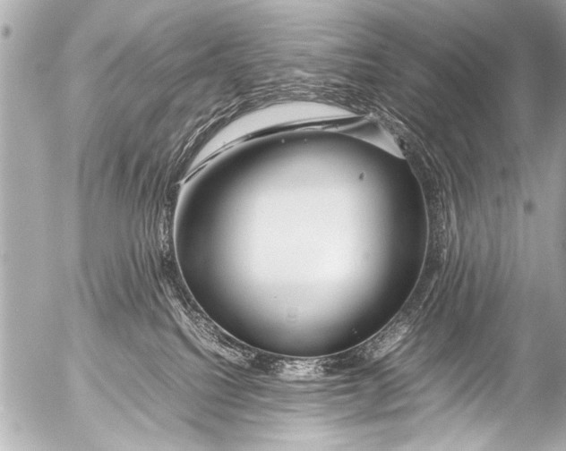 X0000054470088200508270140