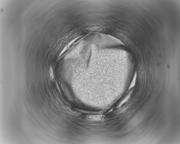 X0000054470089200508270140