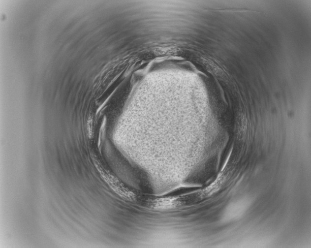 X0000054470090200508270140