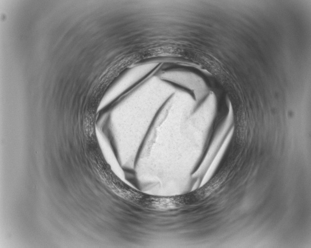 X0000054470091200508270140