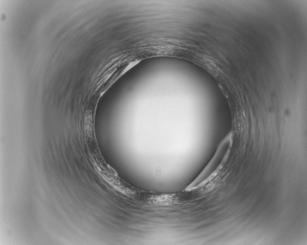 X0000054470092200508270140