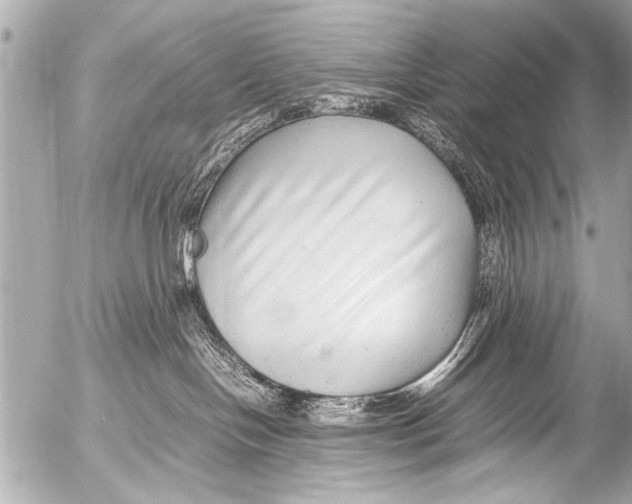 X0000054470094200508270140