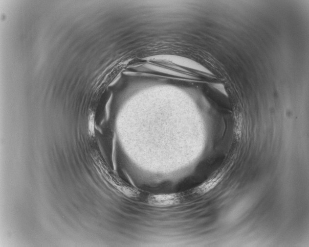 X0000054470095200508270140