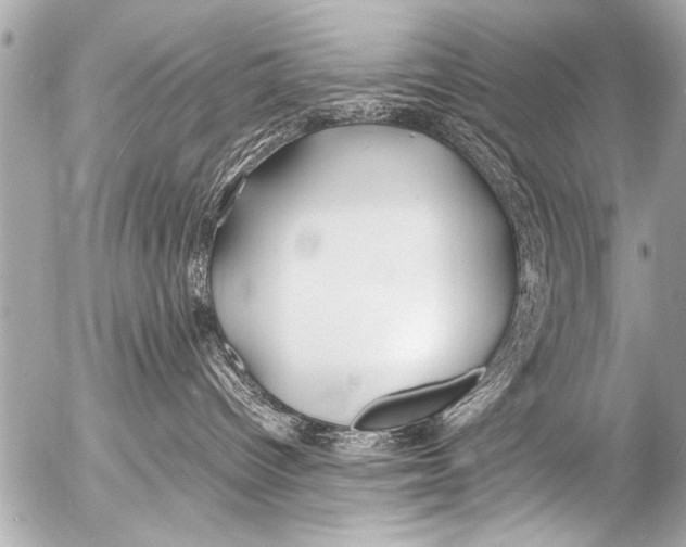 X0000054470096200508270140