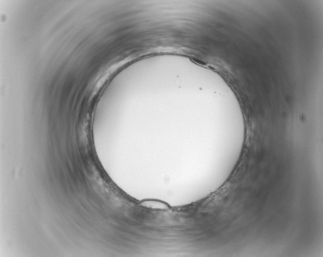 X0000054470098200508270139