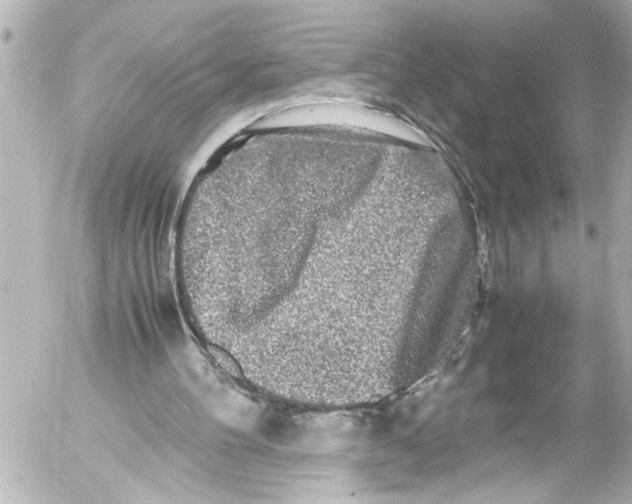 X0000054470100200508270139