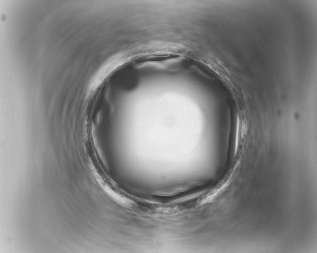 X0000054470101200508270139