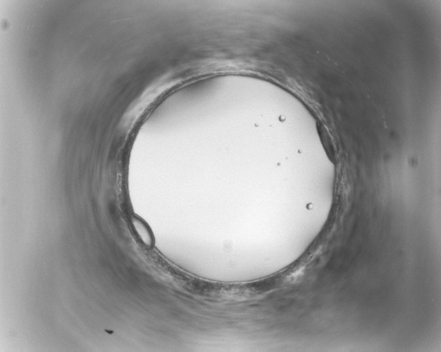 X0000054470103200508270139