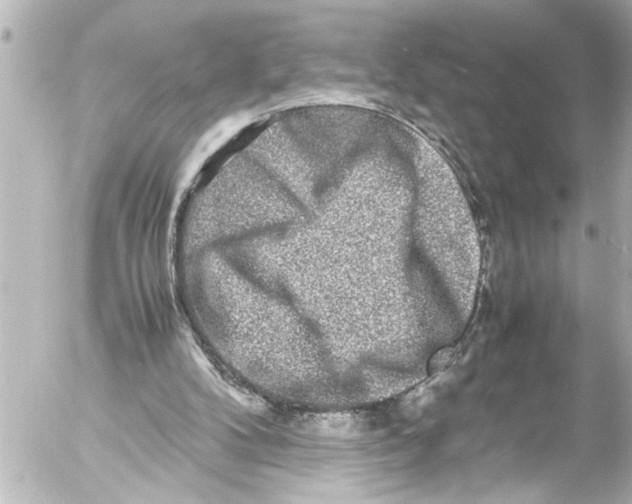 X0000054470104200508270139