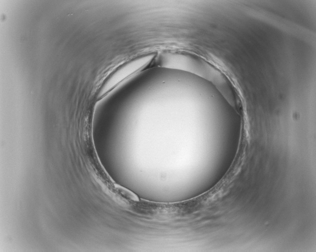 X0000054470105200508270139