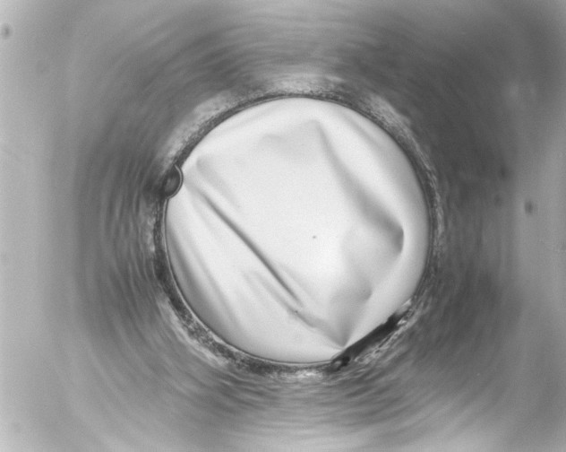 X0000054470106200508270139