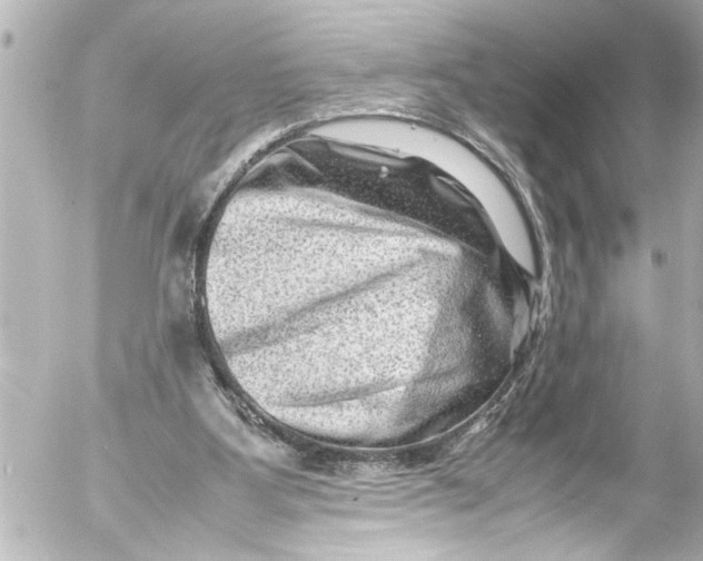 X0000054470107200508270139