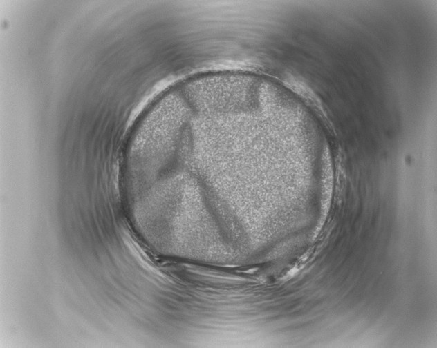 X0000054470108200508270139