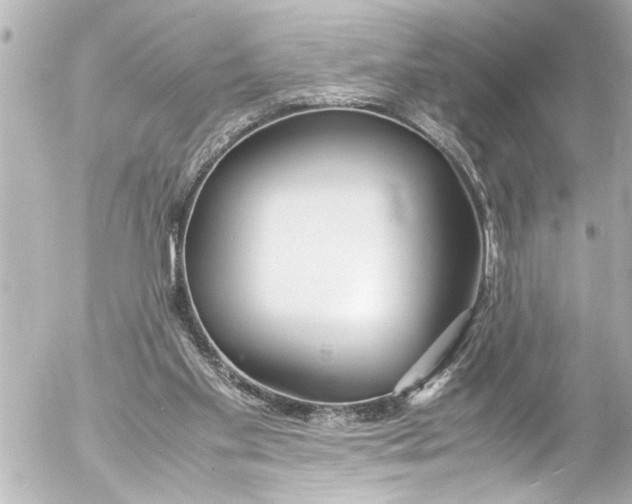 X0000054470109200508270139