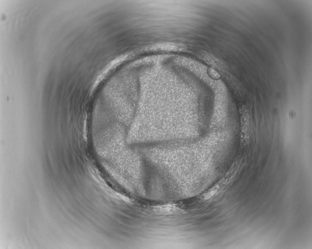 X0000054470112200508270139