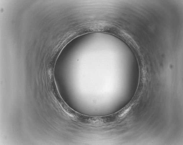 X0000054470113200508270139