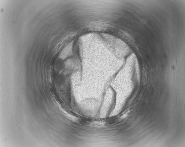 X0000054470114200508270139