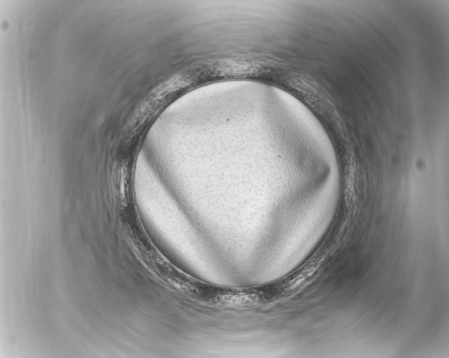 X0000054470115200508270139