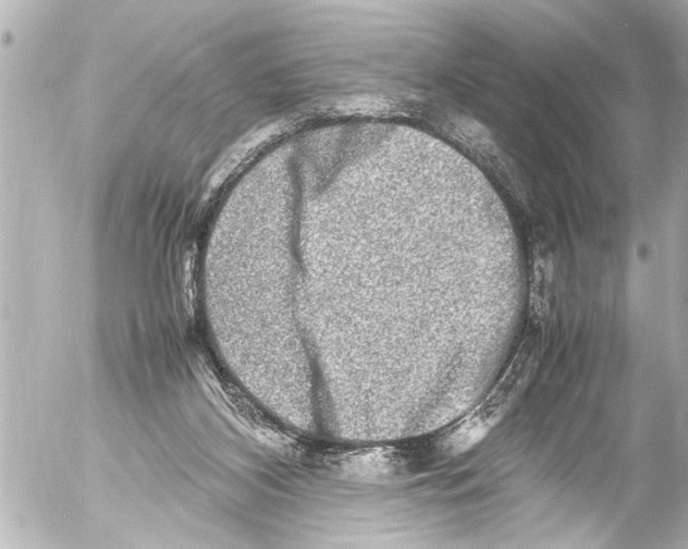 X0000054470116200508270139