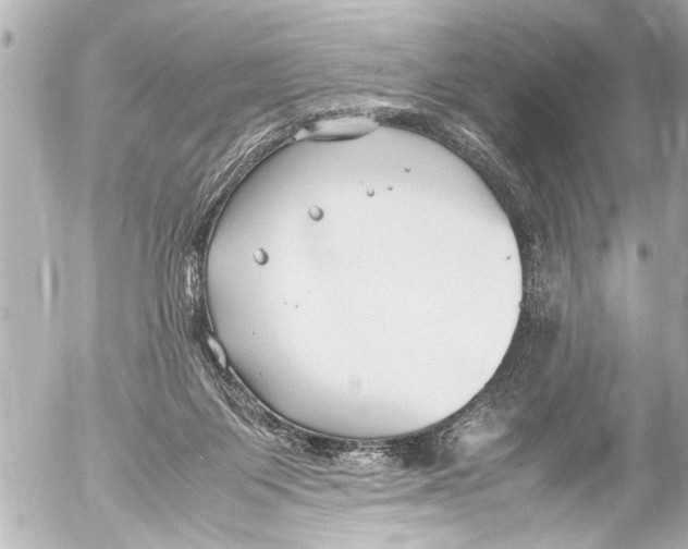 X0000054470119200508270139