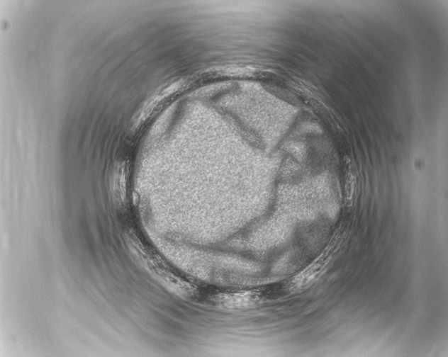 X0000054470120200508270139