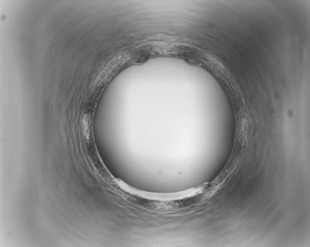 X0000054470121200508270139