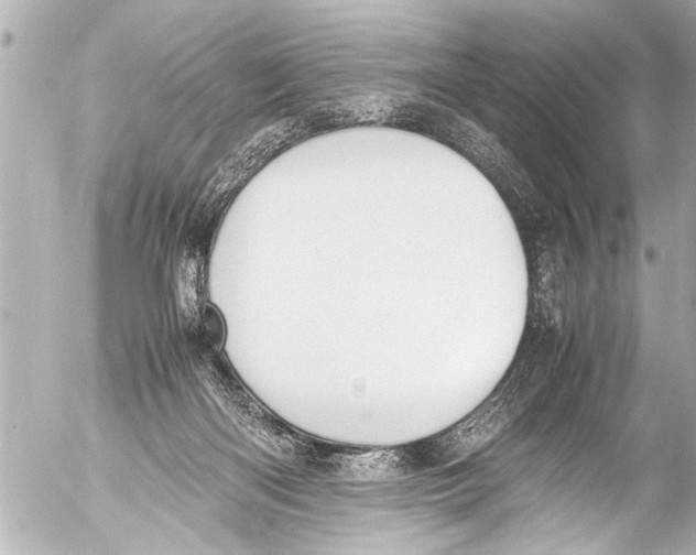 X0000054470122200508270139