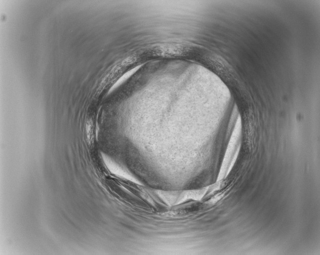 X0000054470123200508270139