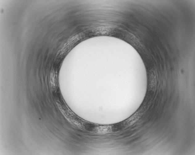 X0000054470126200508270139