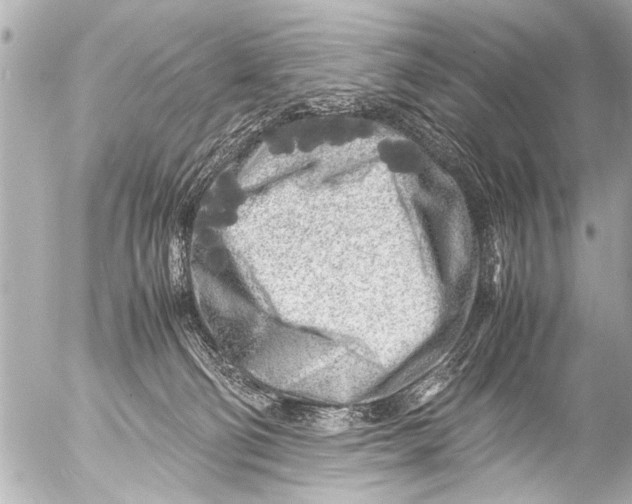 X0000054470130200508270139