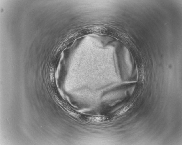 X0000054470131200508270139