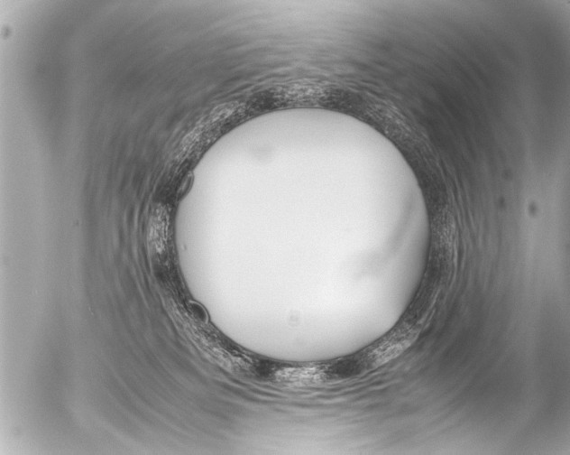 X0000054470133200508270139