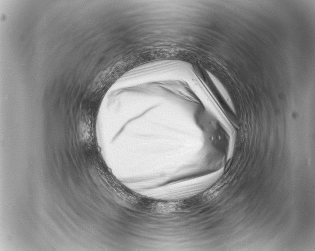 X0000054470134200508270139