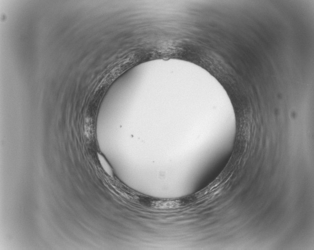 X0000054470135200508270139