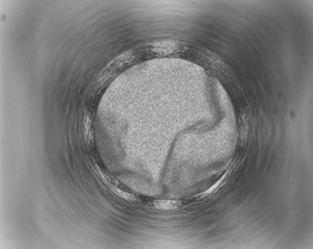 X0000054470136200508270139