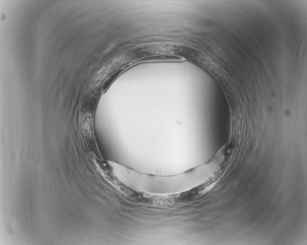 X0000054470141200508270139