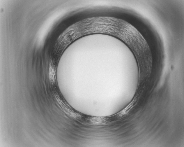 X0000054470142200508270139