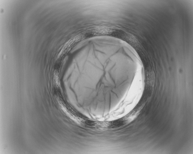 X0000054470143200508270139