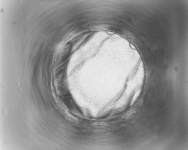 X0000054470145200508270138