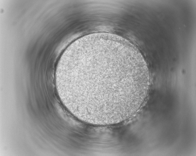 X0000054470146200508270138